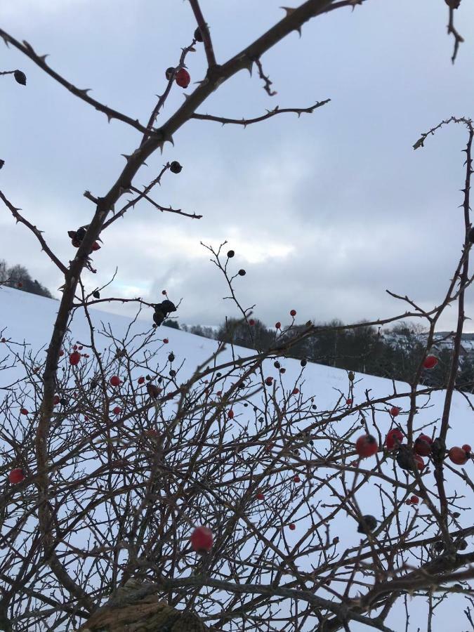 Ferienhaus Schneeweiss Winterberg Eksteriør bilde