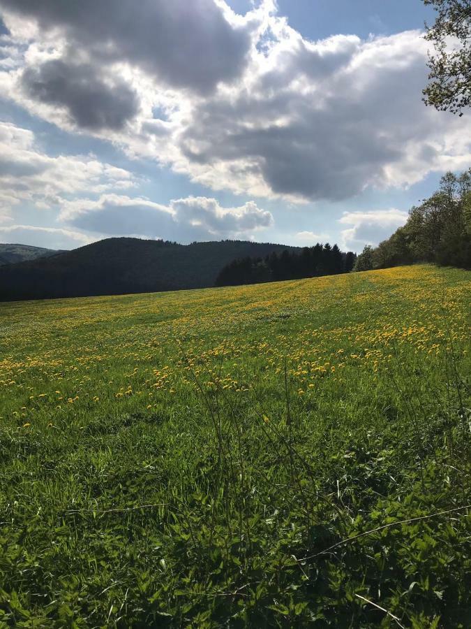 Ferienhaus Schneeweiss Winterberg Eksteriør bilde
