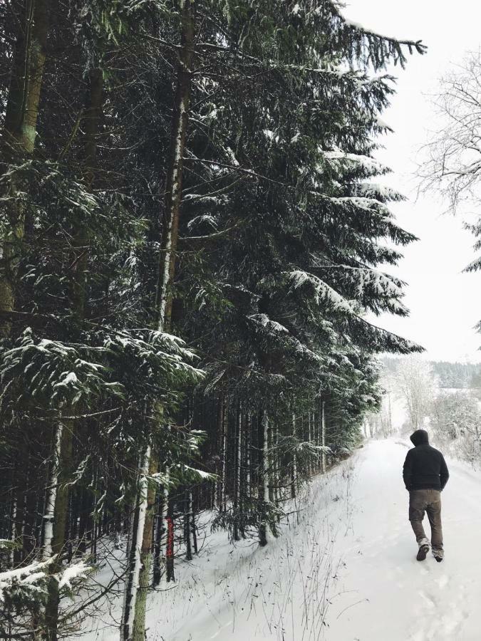 Ferienhaus Schneeweiss Winterberg Eksteriør bilde