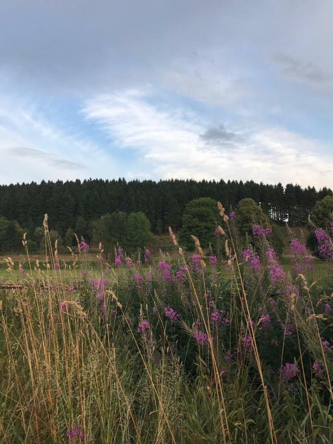 Ferienhaus Schneeweiss Winterberg Eksteriør bilde
